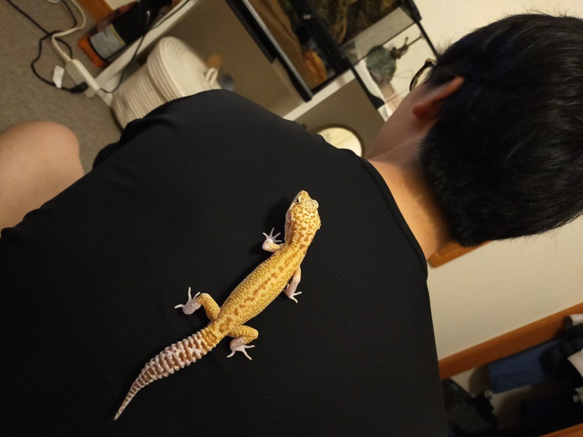 flegmin's tweet photo. 散歩させてて見当たらないと思ったらこんなとこにいた https://t.co/WDfVKWnALr
