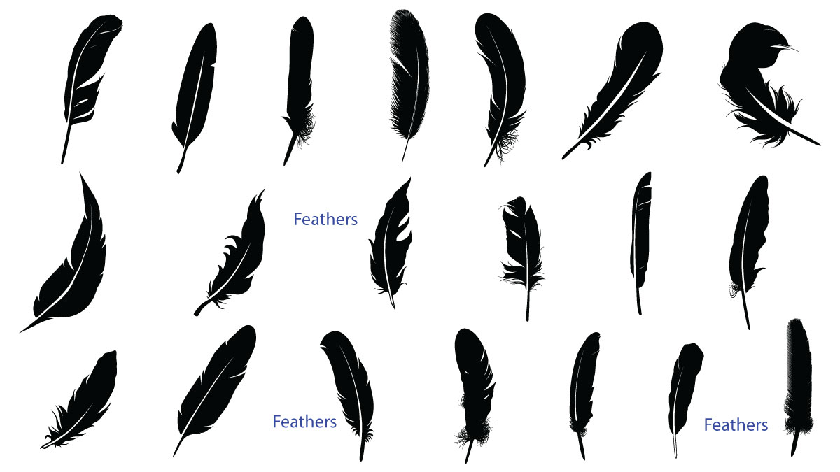 Feathers SVG, Feathers Bundle SVG #Cricut #PDFPiX