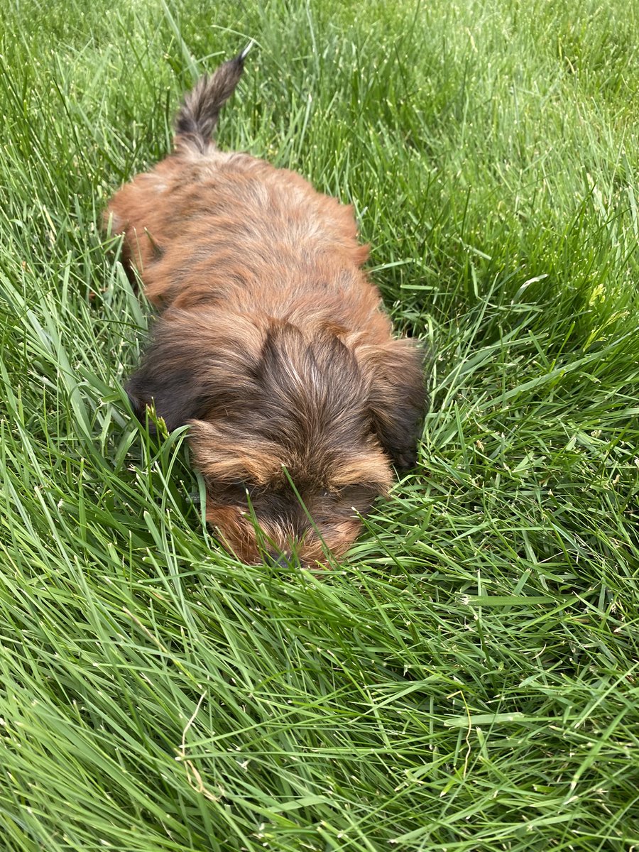 Heather Gin tweet media