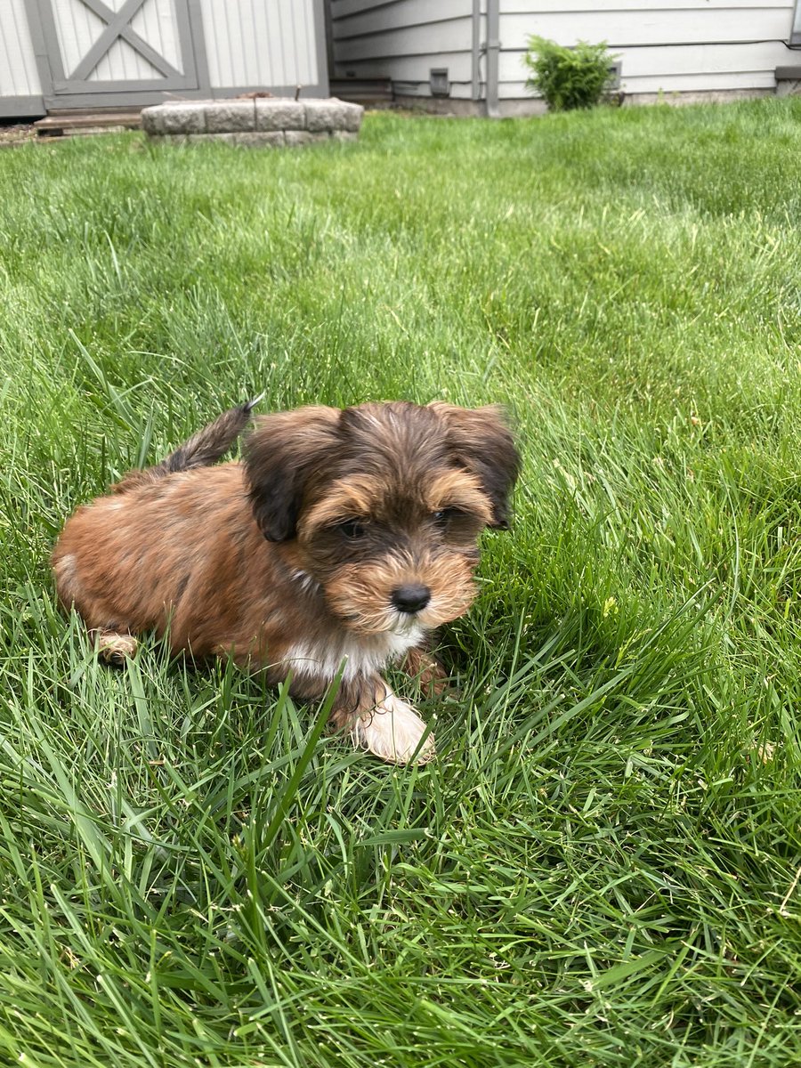 Heather Gin tweet media