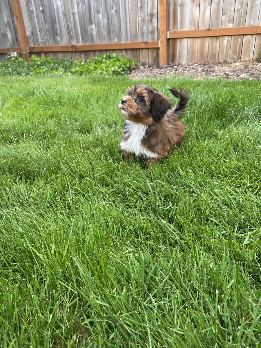 Heather Gin tweet media