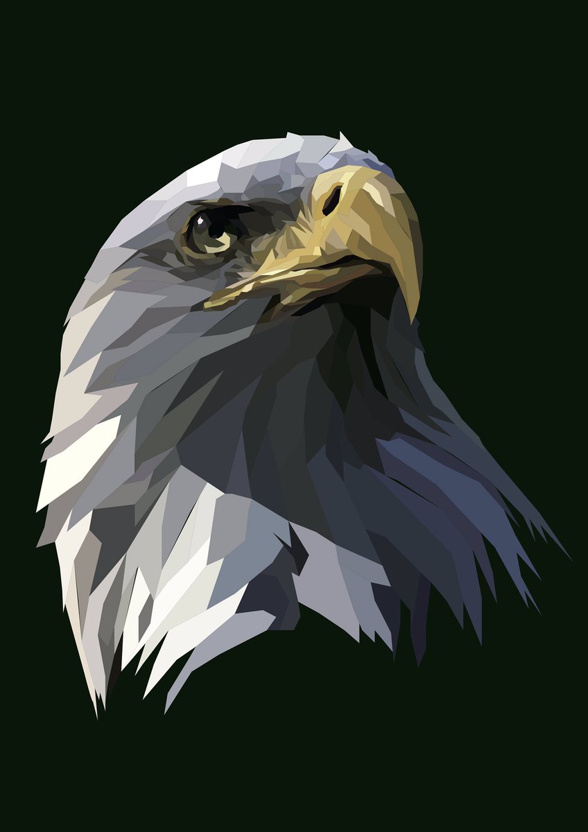 鷲 かっこいい イラスト