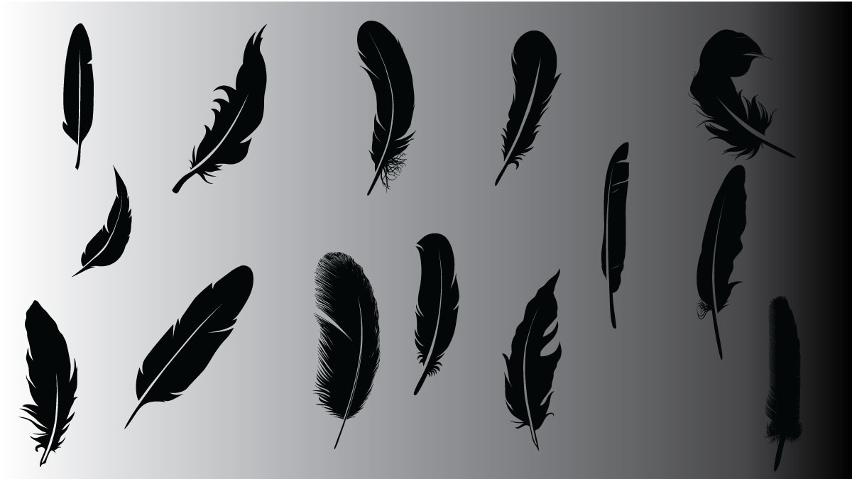 Feathers SVG #free #Scrapbooking