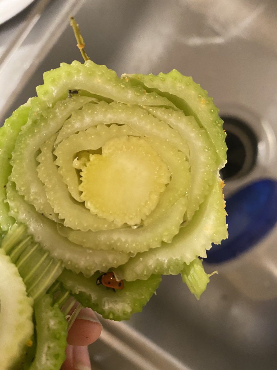 alexabien tweet media