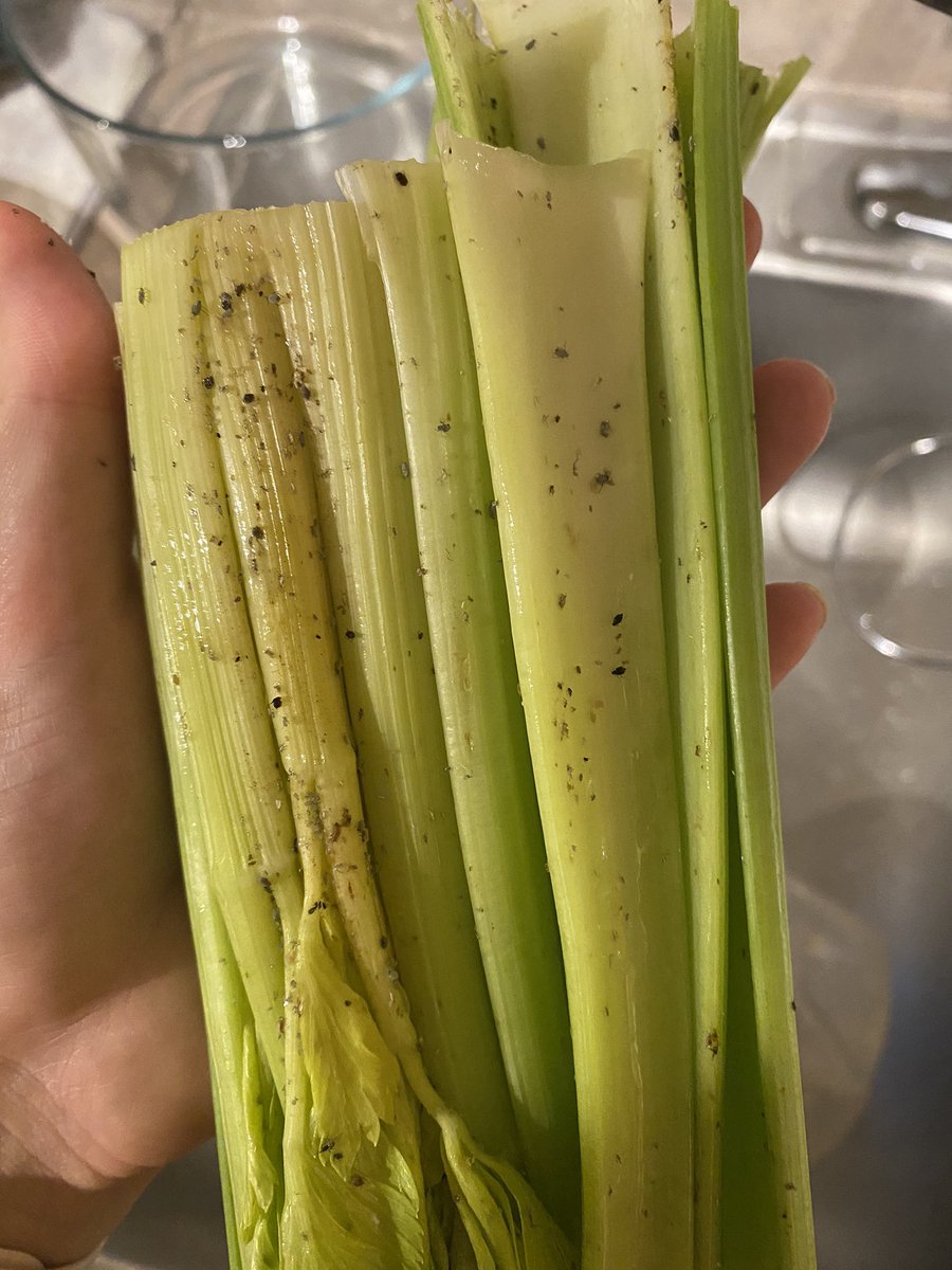 alexabien tweet media