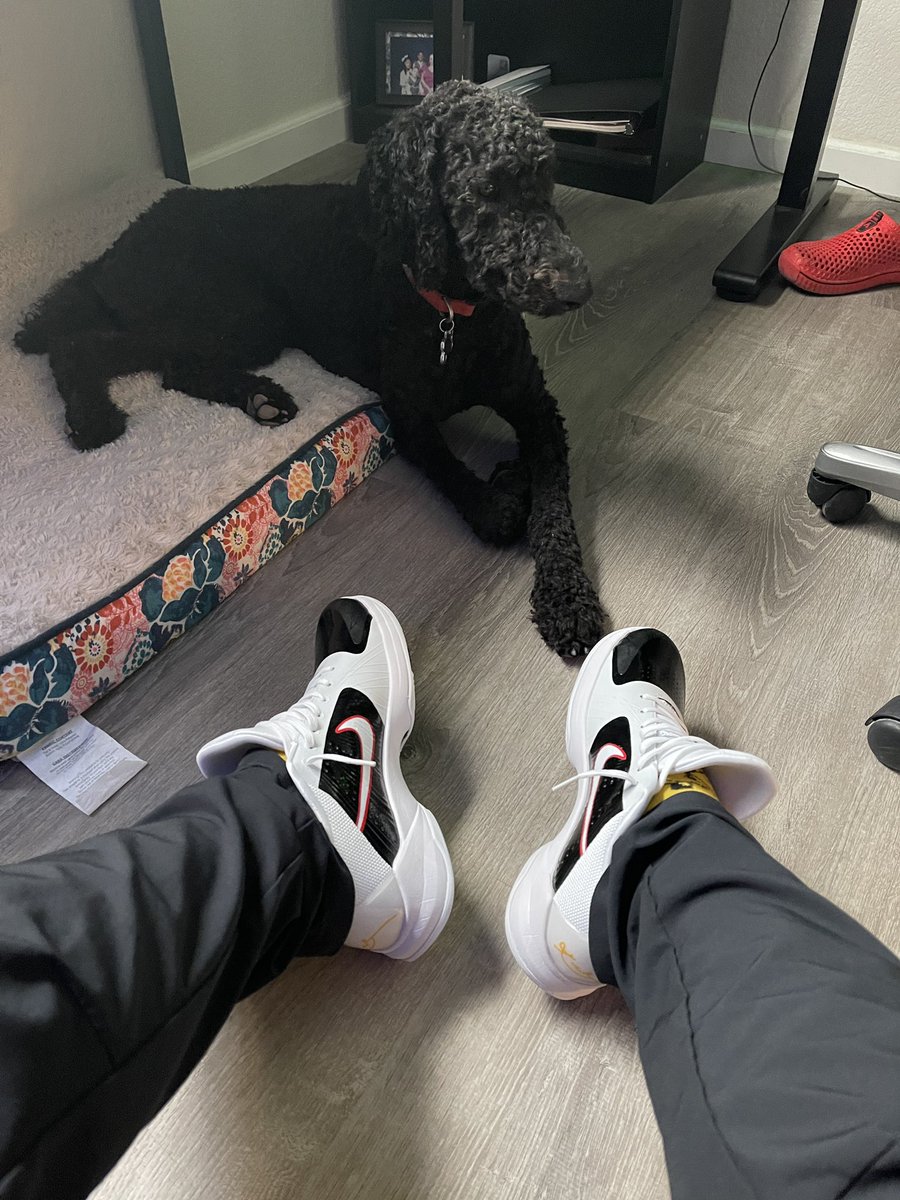 Mr_Bpoz's tweet photo. Might as well step out today and take Lena to #lazydogsrestaurant with the family. #kobeprotro5 #brucelee #wutangsocks https://t.co/yam0OPI3J3