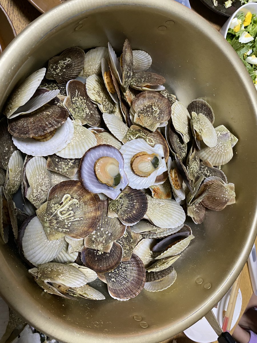 オホーツク Twitter Search