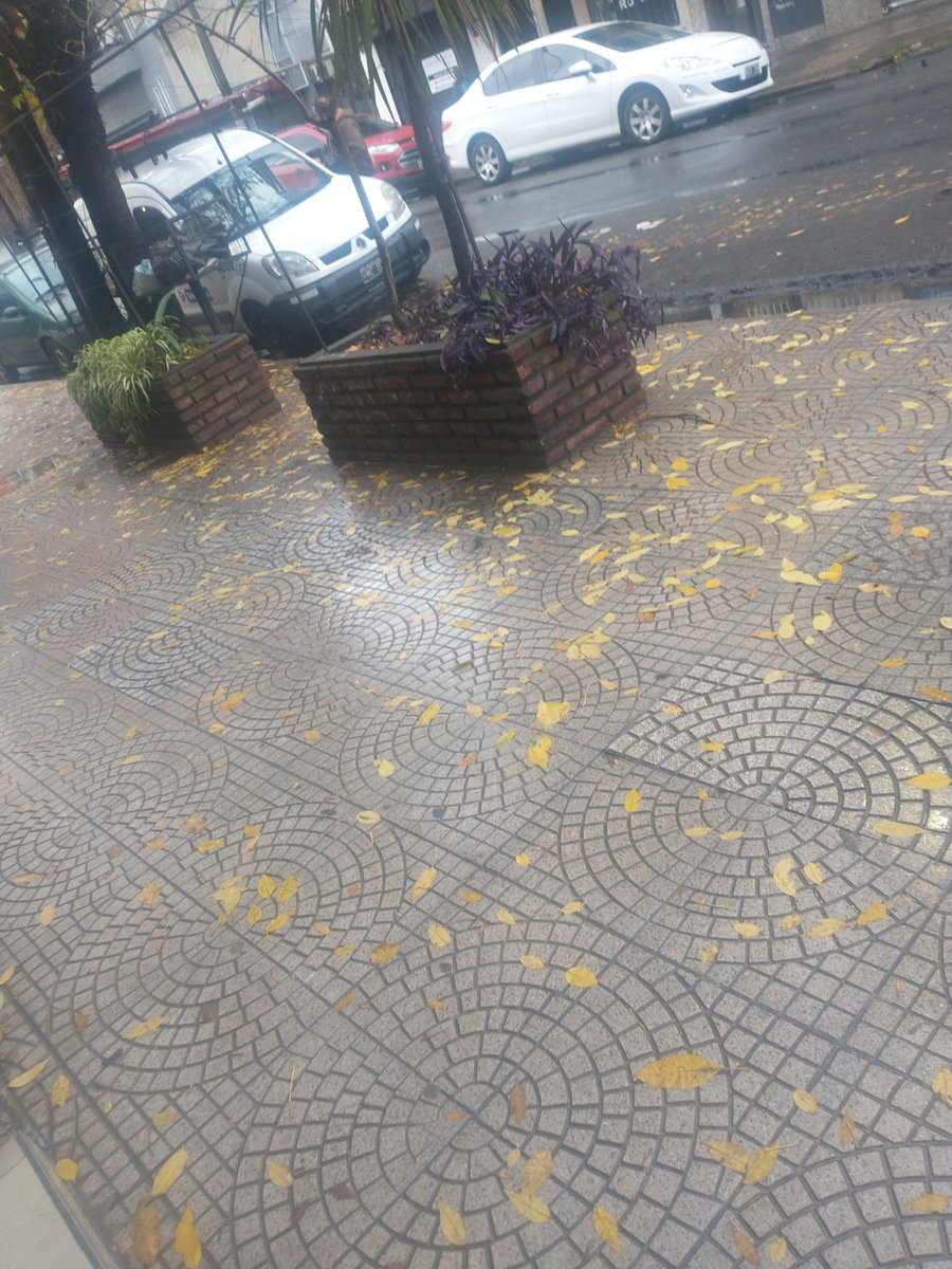 jimenezcp10's tweet photo. @TeleCentroAr La cuadrilla número 73 patente hmc024 se recostaron en la puerta de mi casa sin hacer nada y cuando me vieron entrar a casa huyeron del lugar sin hacer nada son una mierda. Aislado casi sin trabajo y con un familiar internado . Telecentro hijos de puta . https://t.co/RoNhN4KMTG