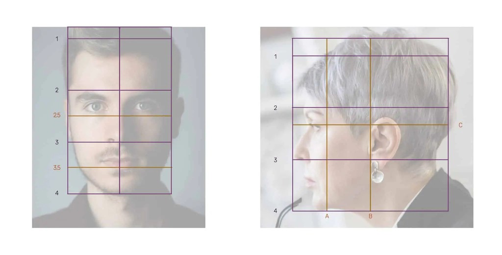 SketchDrawing's tweet photo. Start by putting in lighter shades and continue until you get to the darkest parts (remember to use the reference for that!).

Read the full article: How to Sketch a Face: Step-by-Step Process
▸ https://t.co/BKrCBanIKF https://t.co/UBJEAKOvGd