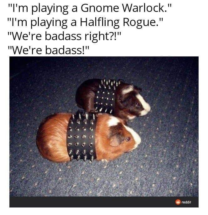 all_d20's tweet photo. 🥰😂😂
~Felicity
Did you know we have a D&amp;D podcast? Check it out on your favourite platform. Like what you hear? Support the show: https://t.co/BHnangY05H #alld20 #dnd #dnd5e https://t.co/owwJLKwhmg