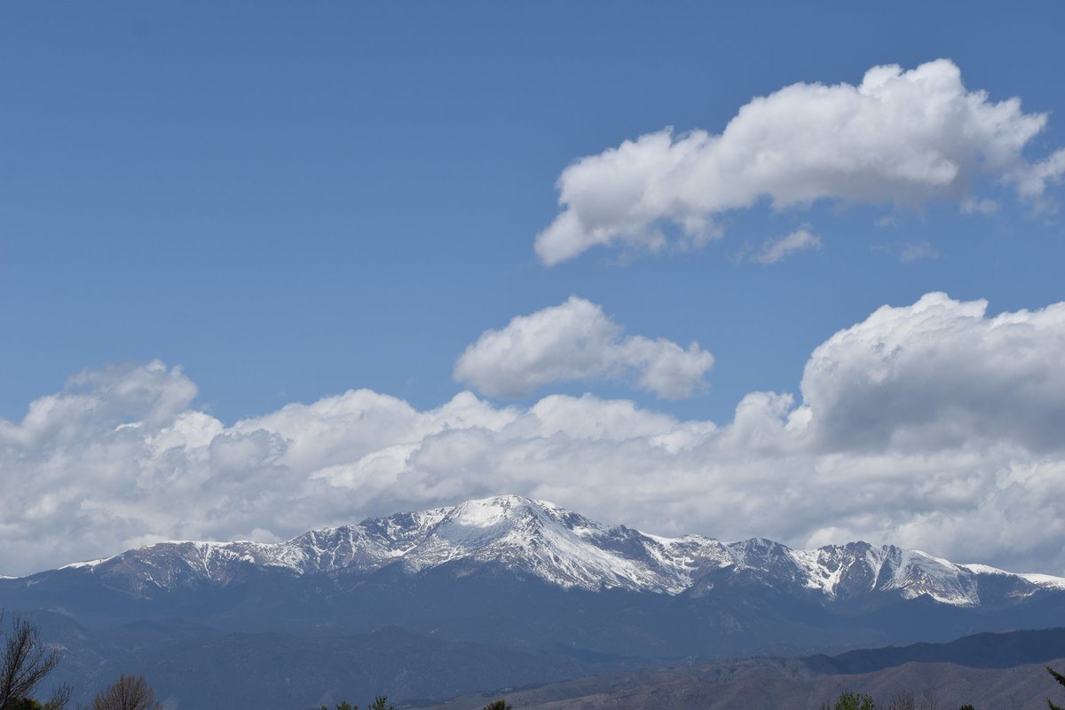 diary_peak tweet picture