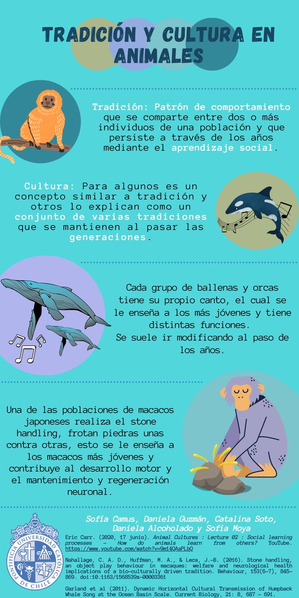 Entre las curiosas tradiciones de algunas poblaciones animales, hay una en q macacos japoneses frotan y golpean piedras entre sí. Nos lo cuentan Daniela Alcoholado, Sofía Camus, Daniela Guzmán, Sofía Moya y Catalina Soto
#ConductaAnimal
<a href="/MedVetUC1/">MedVetUC</a>
<a href="/MasCienciaChile/">+ Ciencia Para Chile</a>
<a href="/VCT_ElMercurio/">VCT El Mercurio</a>