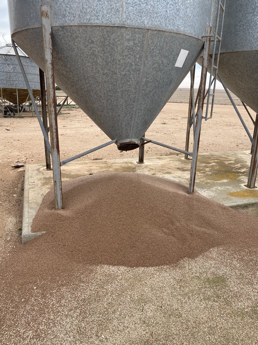 Simon Wheare tweet media