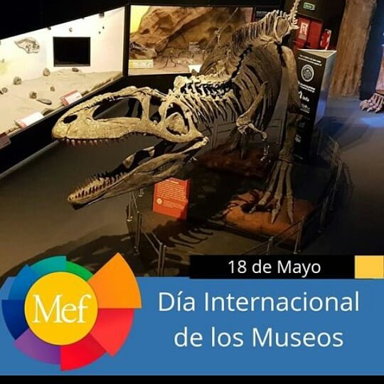 adrianofismo's tweet photo. MUSEOS.

El 18 de mayo fue el #DíaInternacionalDeLosMuseos y comparto imágenes de los que más me han gustado entre aquellos que he visitado.

📌 @mefpatagonia (de #Trelew).

📌 @museodelaplata (de #LaPlata).

📌 #MuseoMarc (de @rosariociudadok, @MuseosSantaFe). https://t.co/ZKs7iBDDab
