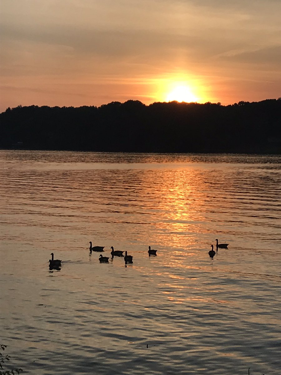 ConnieGuinn4's tweet photo. So peaceful 😊 https://t.co/caSmOjobBM