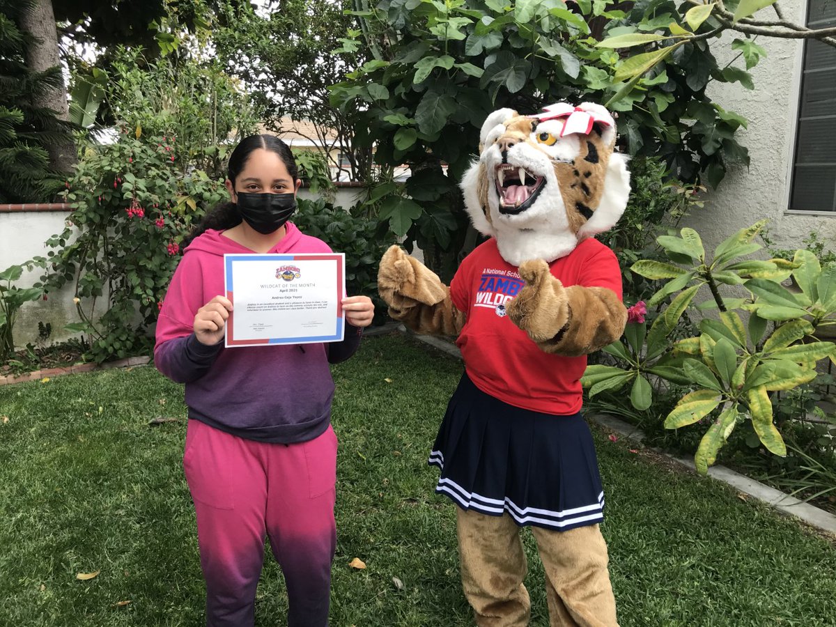 _theMightyZ's tweet photo. Students were surprised when Wilma and Wylie the Wildcats delivered their 'Wildcat of the Month' Certificates. Congratulations students! Who will be next? #WeArePUSD https://t.co/HbckMM4bwt