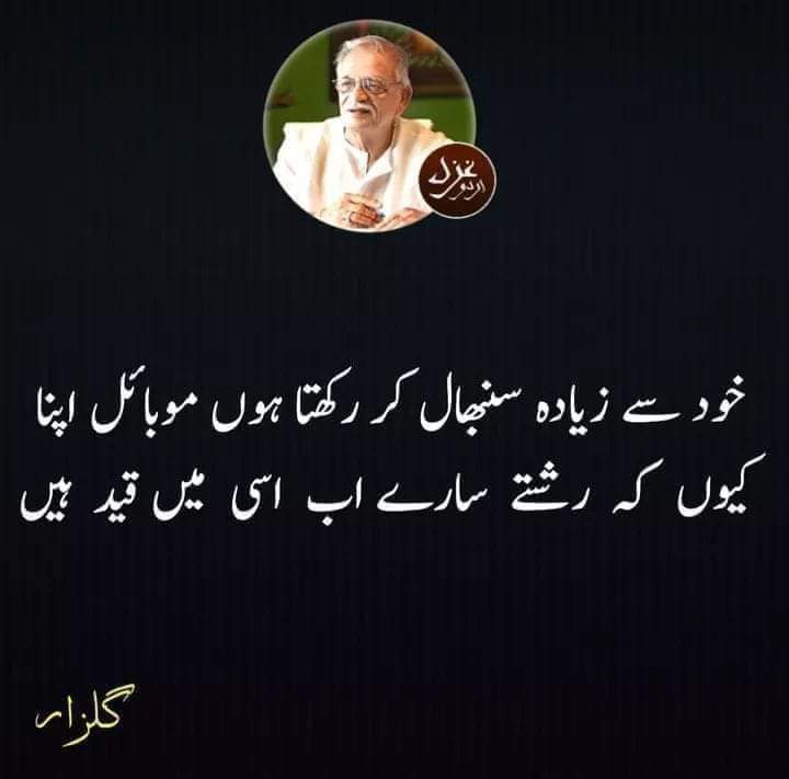 NaqshiHayyat's tweet photo. گلزار ۔۔۔۔۔۔ https://t.co/tnSTpYuzDK
