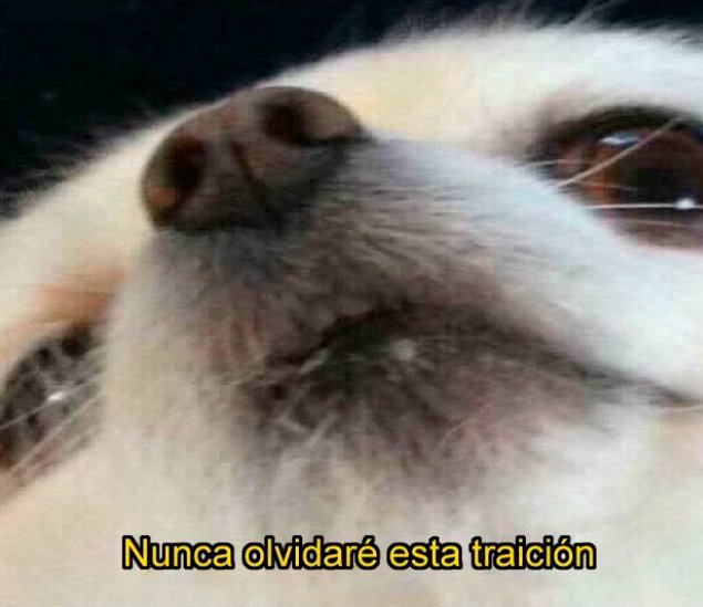 #MasterchefArgentina

Yo, cada vez que enfocan a Alex Caniggia: