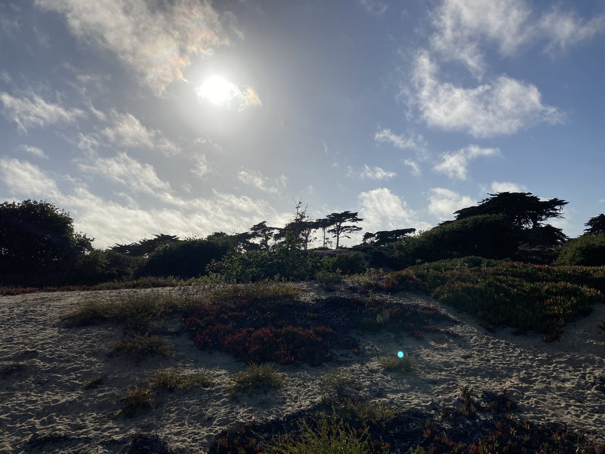 thedudebeachbum's tweet image. #clouds do make for cool #opticaleffects like #rainbow near #sun 👍#sunhalo @danncianca @NWSBayArea #cawx #stormhour