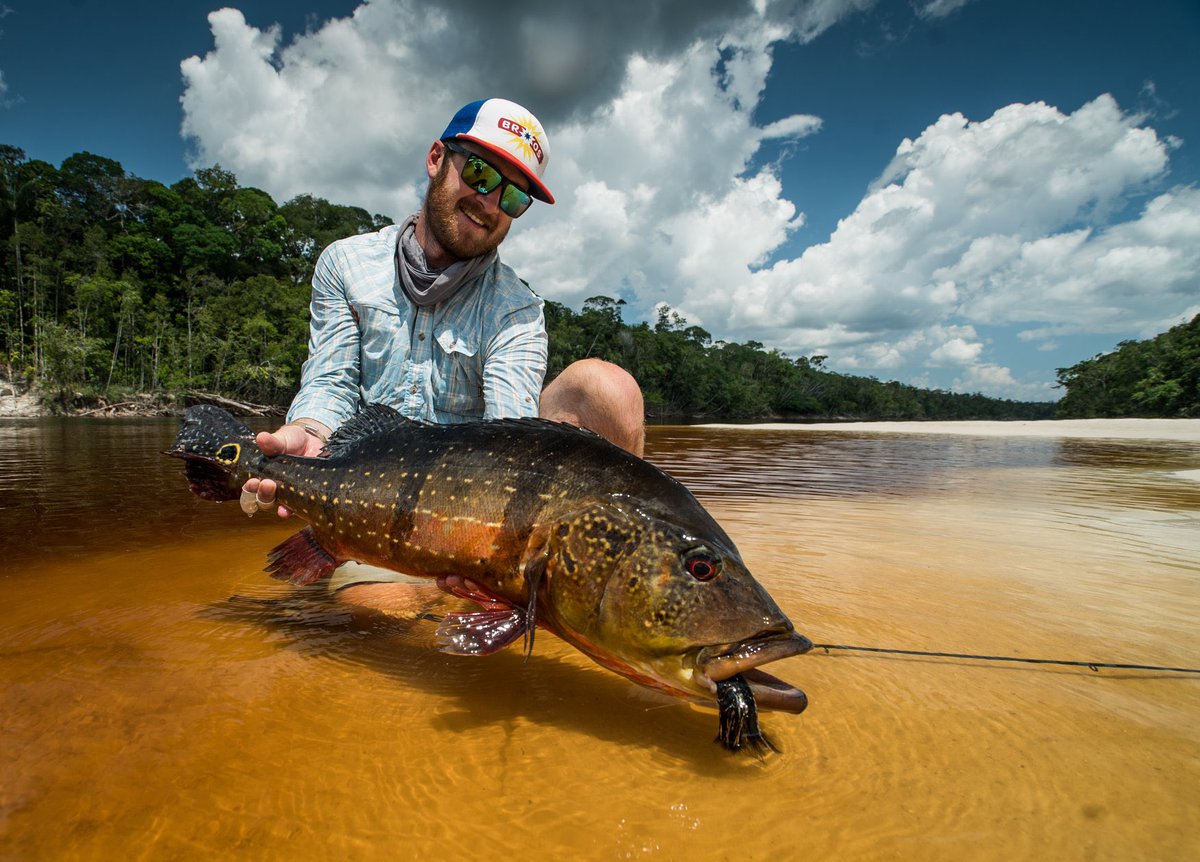 When you are fly fishing the Rio Marie, it feels like it's just you and the fish. With so much unspoiled water in the remote wilderness of the Brazilian Amazon, anglers experience something truly special.
Ph: Christiaan Pretorius
#flyfishing #flyfish #peacockbass