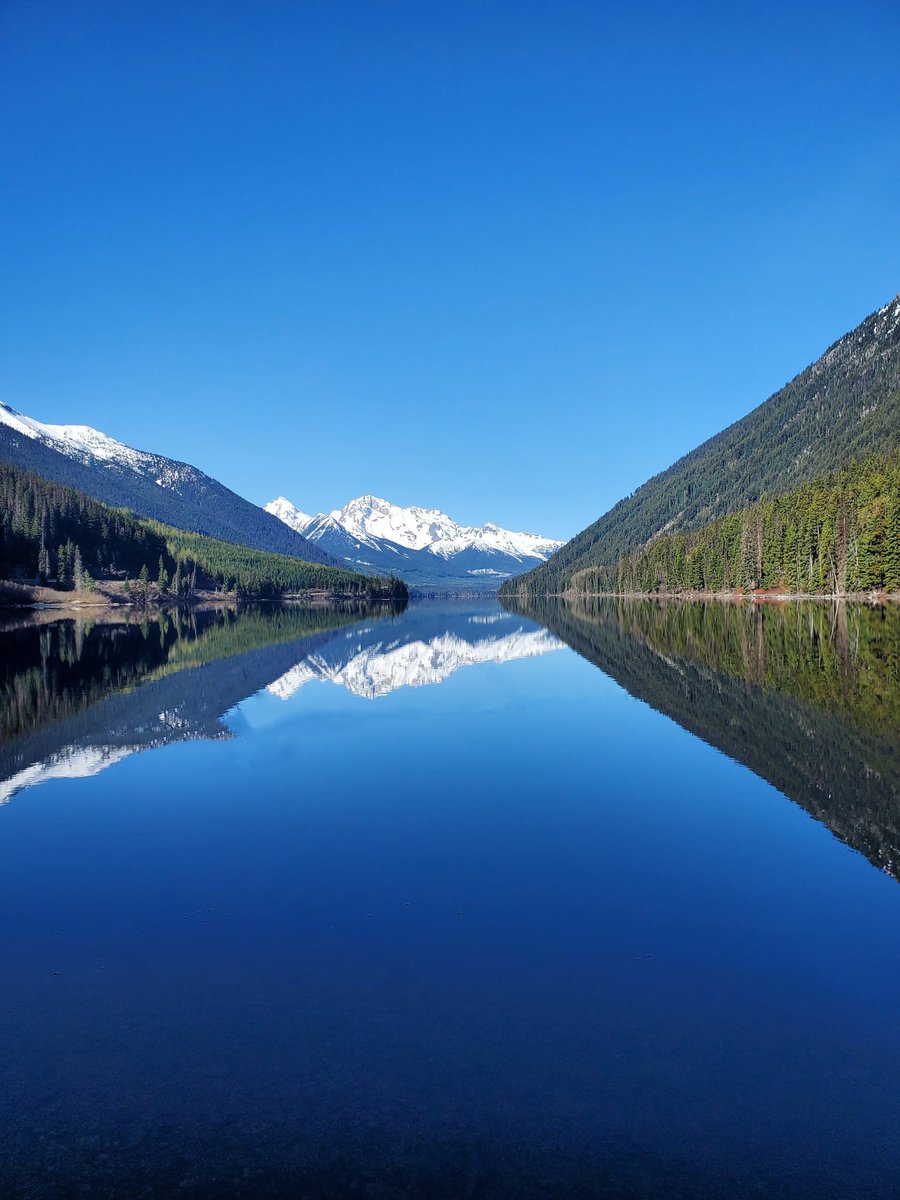 Warren Smith tweet media