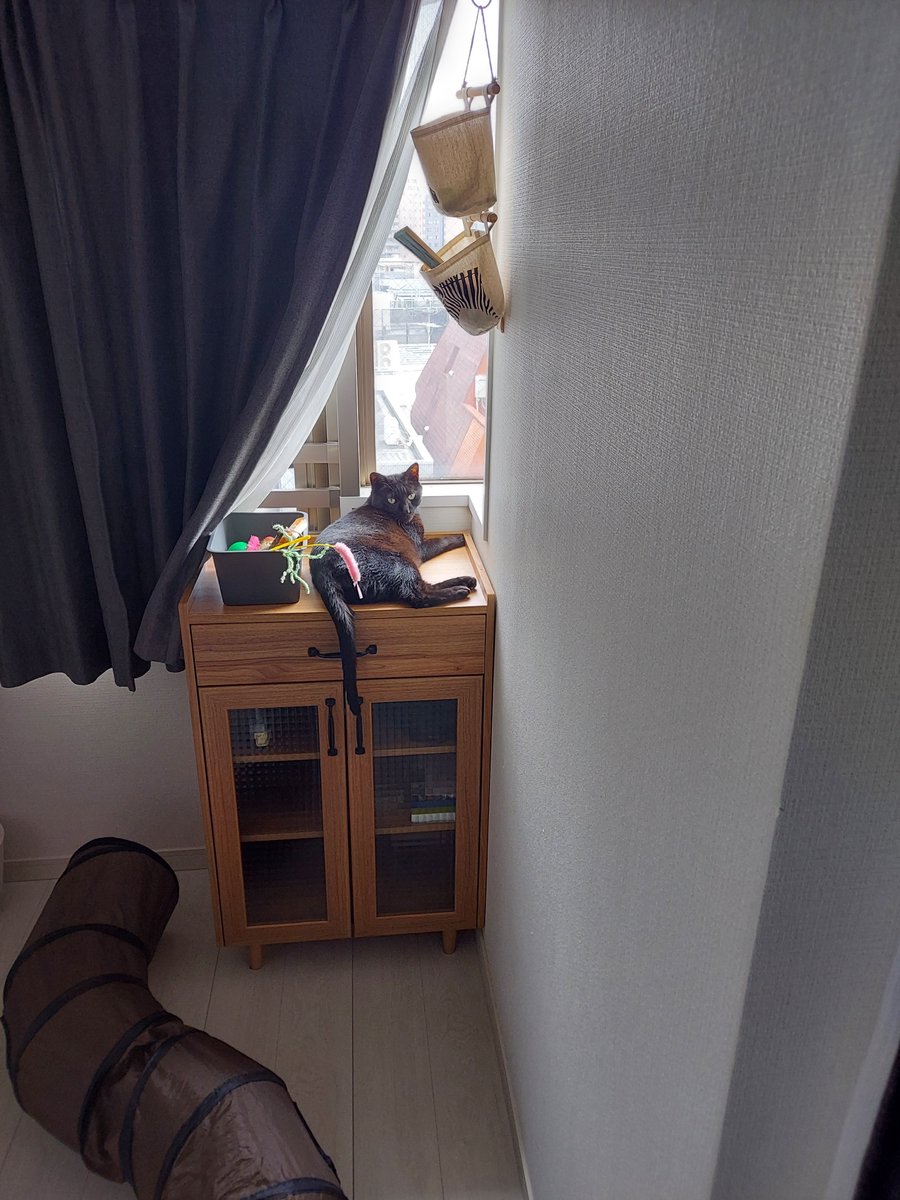 おじゃf無垢愛 Yusuketfe Twitter