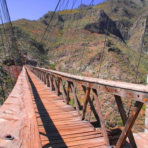 Alonso_Blancas's tweet photo. ¿Crees que ya conoces todo en #MapimiDurango? 😍 Descubre el fenomenal puente colgante de ojuela, una obra inspirada en la arquitectura de El ingeniero jefe y arquitecto fue Joseph B. Strauss, al cual se atribuye su influencia en la concepción, ✨
🤩 ¿Te gustaría conocerlo? 😱 https://t.co/opuJysnAmx