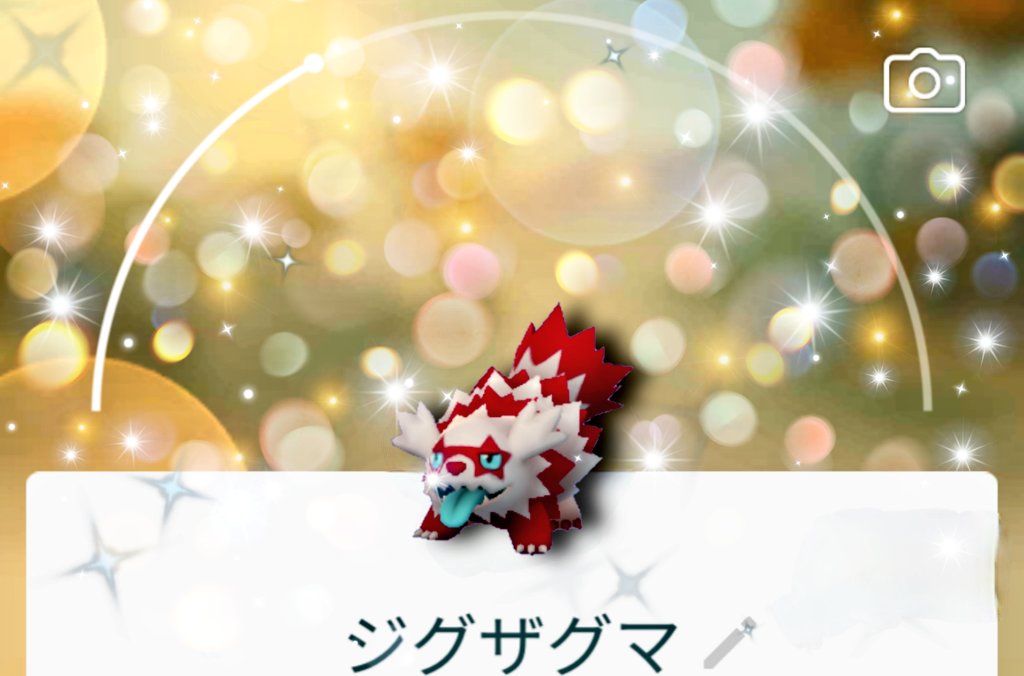 Team しめさば ポケモンgo 明日から 皆さんに色違いガラルジグザグマが来ますように ポケモンgo Pokemongo ガラル