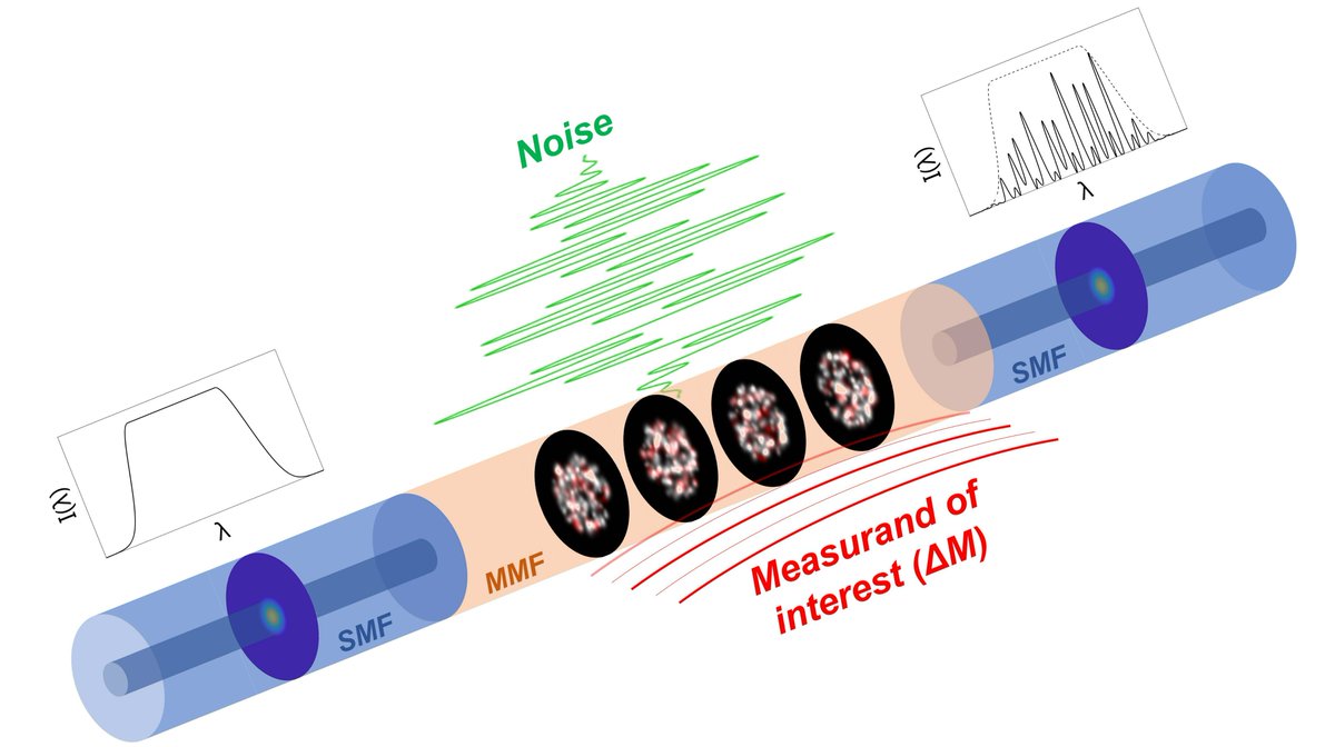 Stephen C. Warren-Smith tweet media