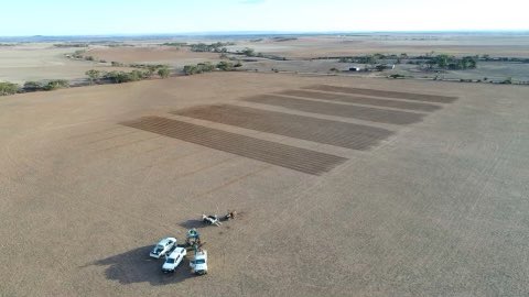 Great to have the Cleve Nutrien Ag trial sown last week! 7 trials and over 300 plots. Some great variety and management treatments looking at a number of new products and Hopefully just in front of this weather pattern 🌱🌧🤞#NutrienCleveAg