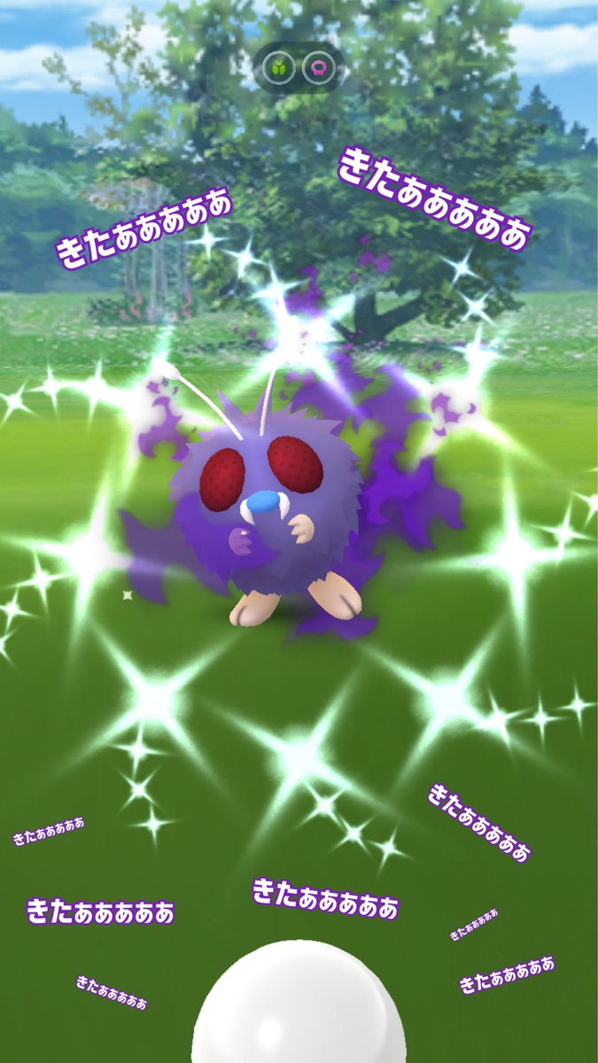Sbk 仮称 最近ほとんどポケアカ うぉおおおおおおおおおおおお 色違いコンパン シャドウゥゥゥオオオオオオオゥゥゥオオオオオオオ 色違い ポケモンgo Sbk 仮称 最近ほとんどポケアカ うぉおおおおおおおおおおおお 色違いコンパン シャドウゥゥゥオオオオオオオゥゥゥオオオオオオオ 色違い ポケモンgo
