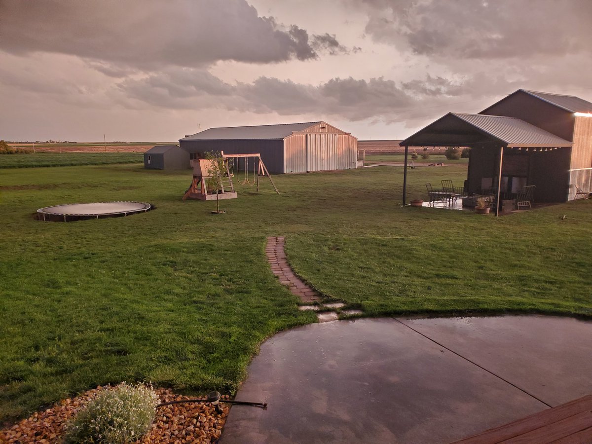 CoryWall4's tweet image. I dont think I've ever seen my back yard this green! #wetspring