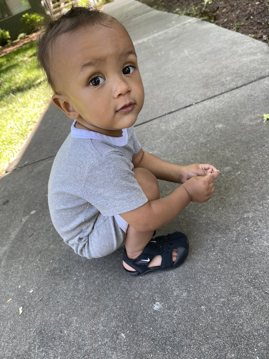 Lauren Cooper tweet media