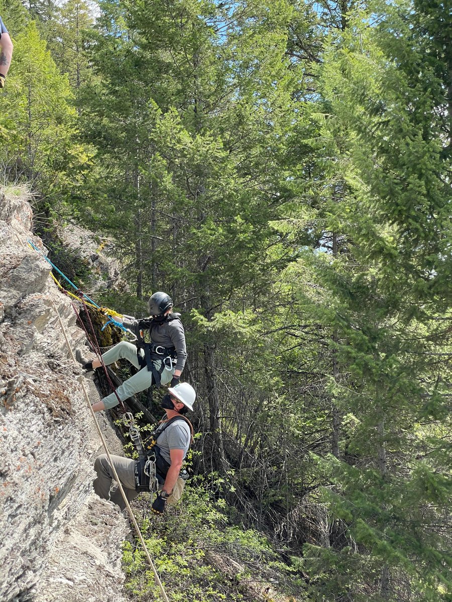 Dynamic Rescue tweet media