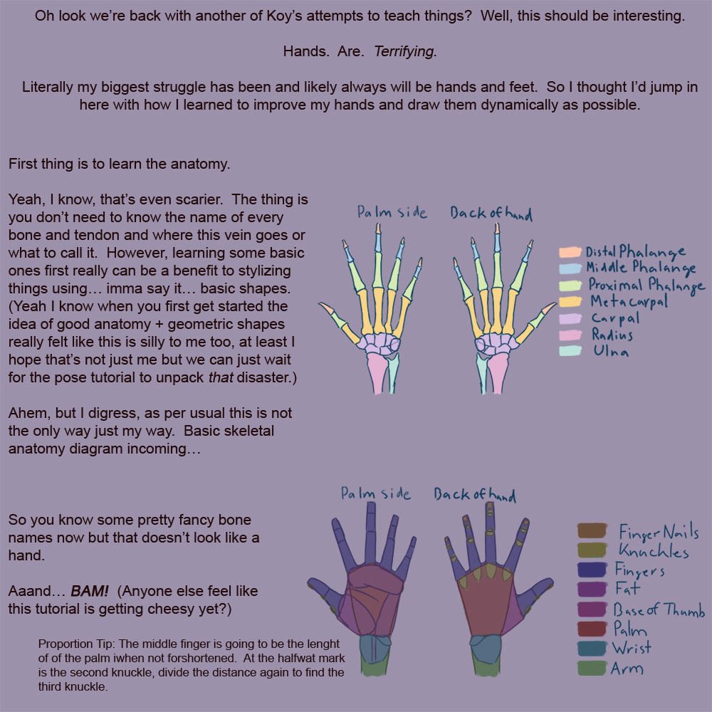 KoyoteDraws's tweet photo. #HandTutorial With Terrible Jokes
#notasfunnyasithinkIam #arttutorial #howtodrawhands #drawhands #anatomytutorial https://t.co/ngnd5IiKpk