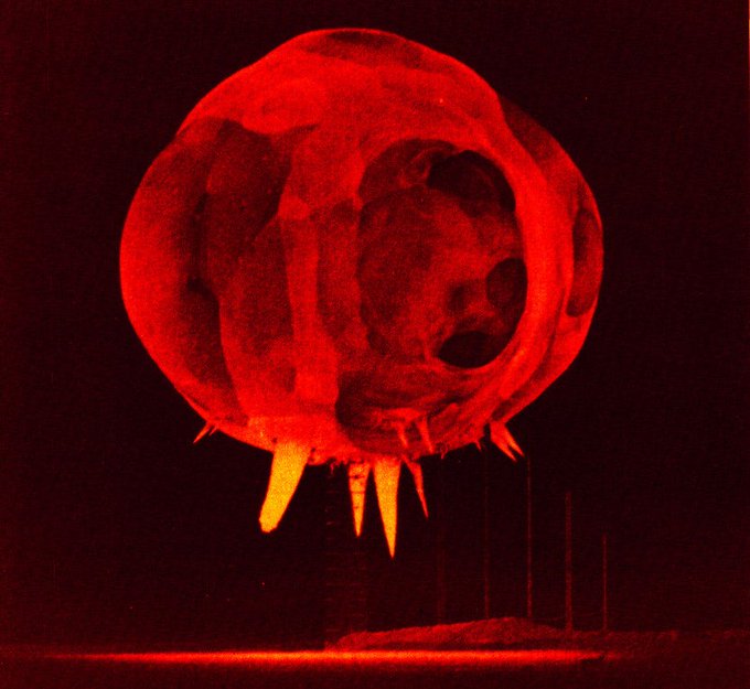 konstructivizm's tweet photo. Nuclear explosion one millisecond after detonation 
 by WhyIsLife https://t.co/VFEJaWxqQR