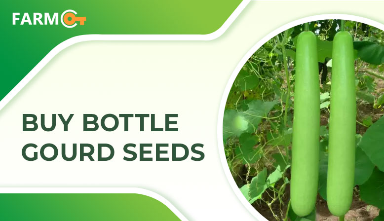 farmkeyIndia's tweet photo. With #Farmkey, grow the #bestqualityBottleGourd in your small garden or big field. We give you the right kind of seeds that help you get more promising results.  

Online Place to #Buybottlegourdseeds:- https://t.co/TIOg5cKD5r

#onlineseeds #buybottlegourdseeds #bottlegourdseeds https://t.co/AyqJ1DhwEI
