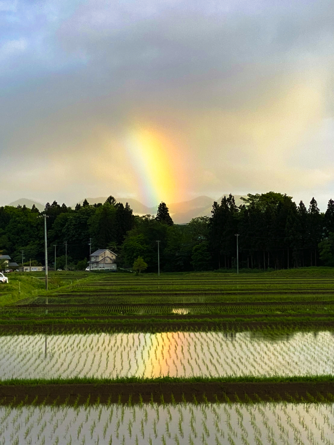 岩手県雫石町 広報 町民の方からご提供いただきました 中央公民館から見えた昨日の虹を撮影した写真です 水面に反射した 虹 綺麗ですね 虹の似合うまち雫石町 雫石町 雫石 虹 Shizukuishi T Co Phhwy4ihny Twitter