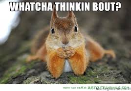 Team 21 Studio tweet media