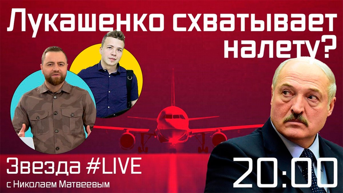 Русский язык 7 класс номер 281. Русский язык 7 класс упражнение 281. Информация о птице орел-карлик. Поймать налету. Поймать на лету работать в одиночку трудиться.