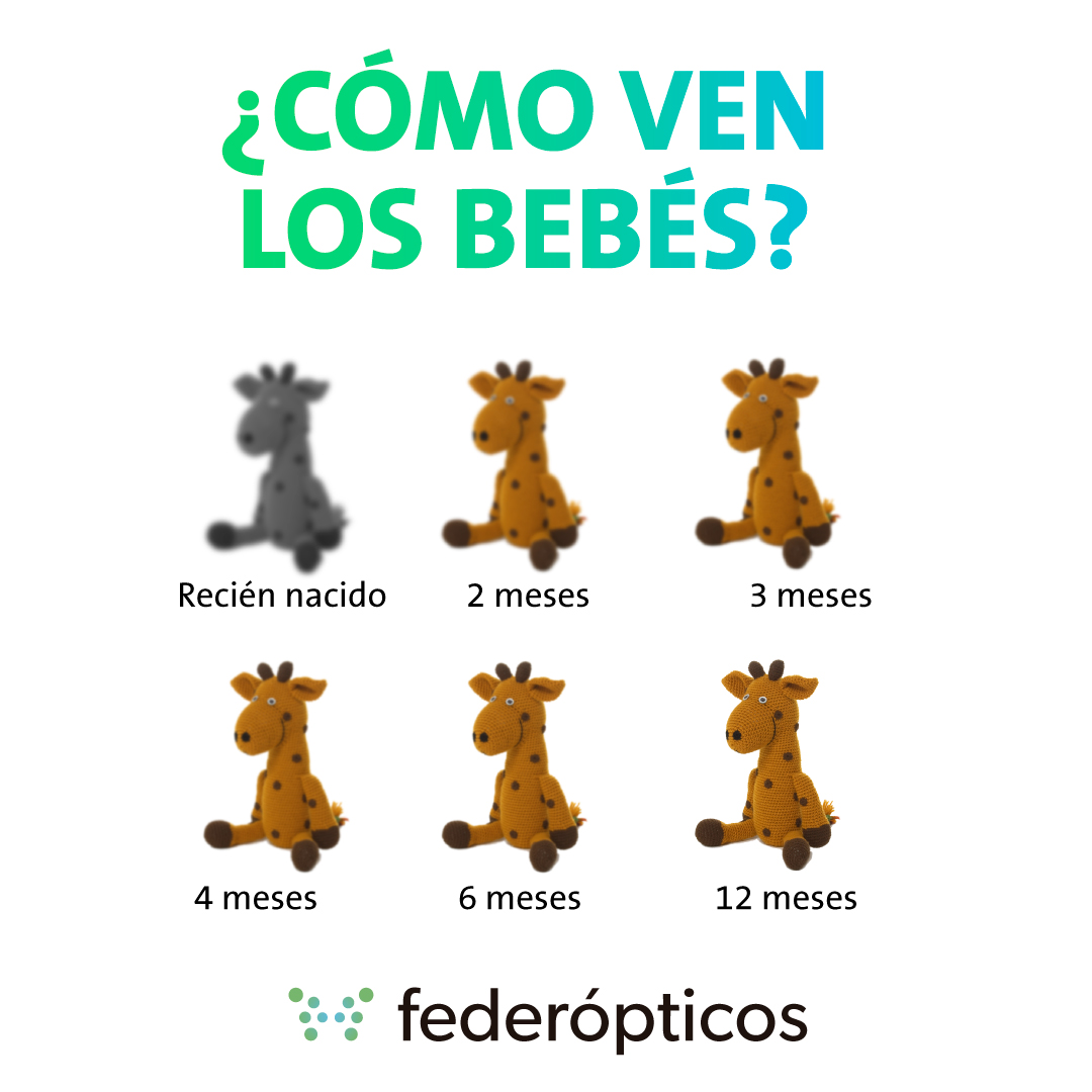Visionbebes Twitter Search Twitter