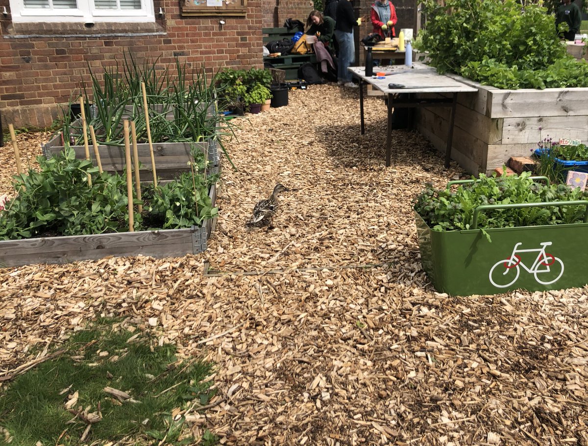 Grow With Joe tweet media