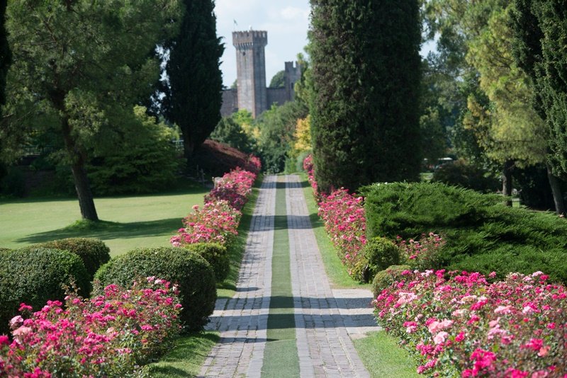 #Viaggiando
#GiornataEuropeadeiParchi 
Parco giardino Sigurtà Valeggio sul Mincio 😍