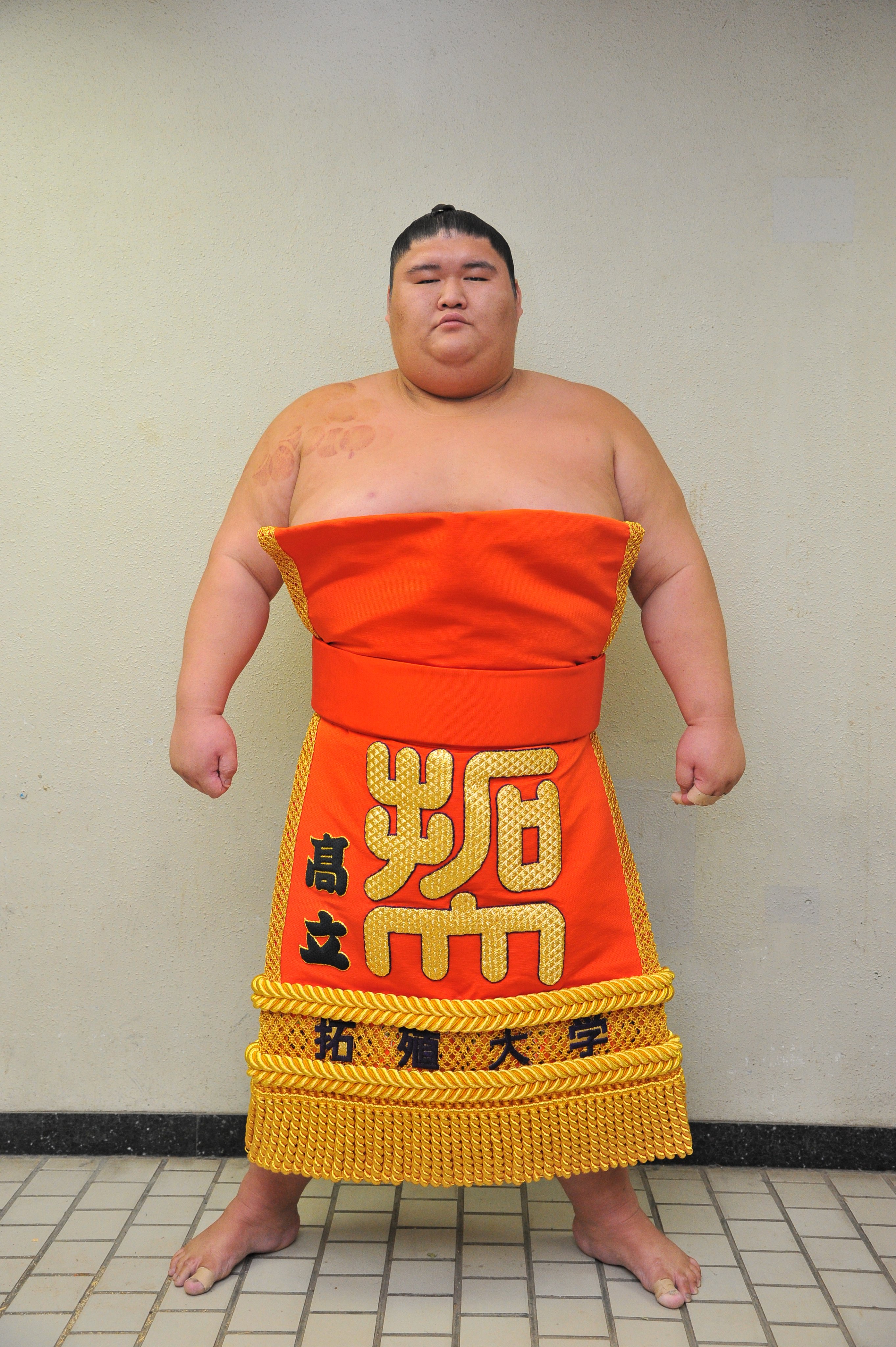 年末のプロモーション特価！ 素材/材料生地/糸ハンドメイド 大相撲