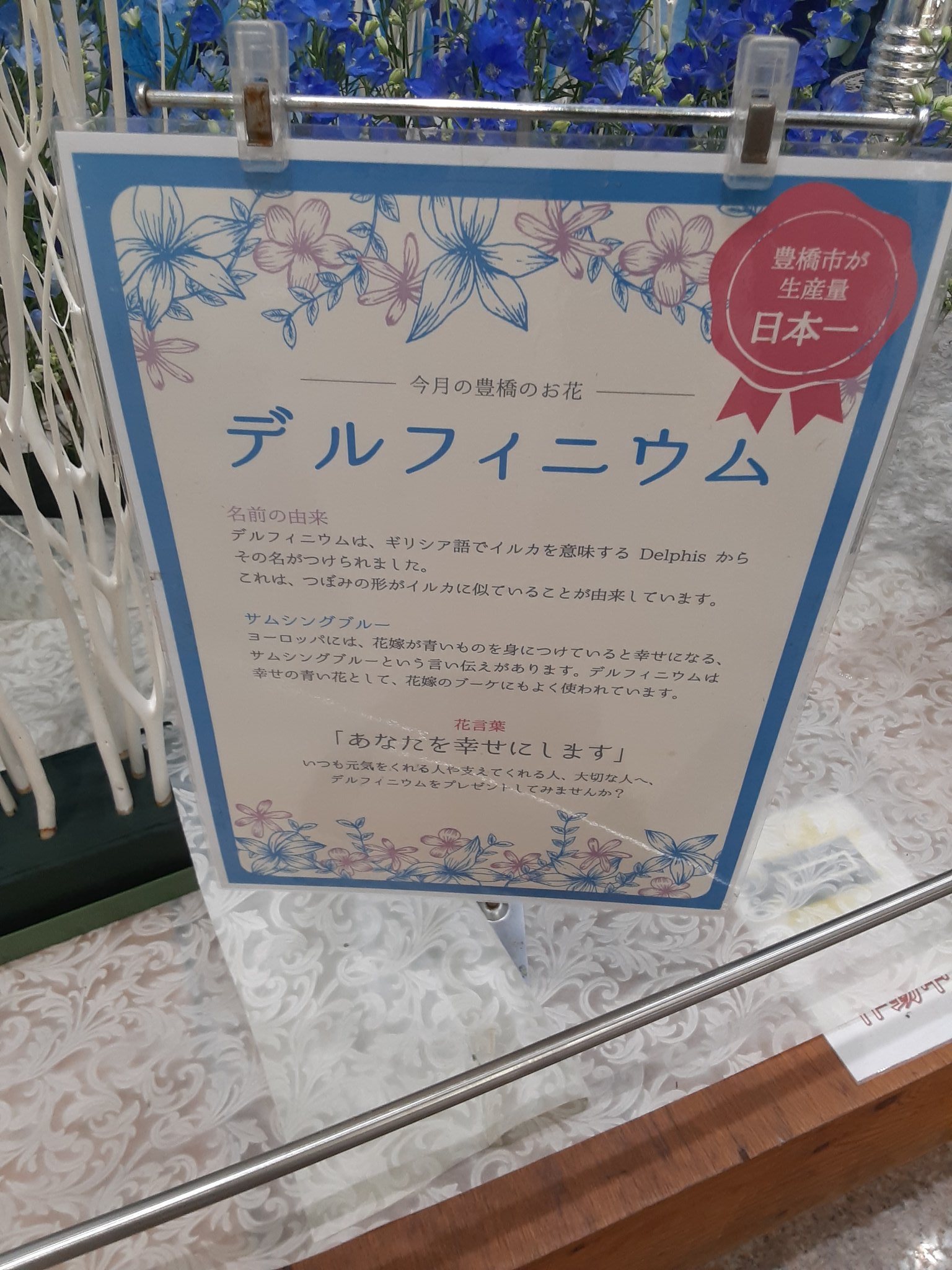 わくてつ 旧和倉鉄っちゃん 豊橋駅在来線改札前は今日も綺麗なお花で彩られてて和むねぇ W デルフィニウムは豊橋市が生産量日本一みたい 花言葉は あなたを幸せにします 言ってみたいわぁ 豊橋駅 花のまち豊橋 T Co Q0lxv7zvdt