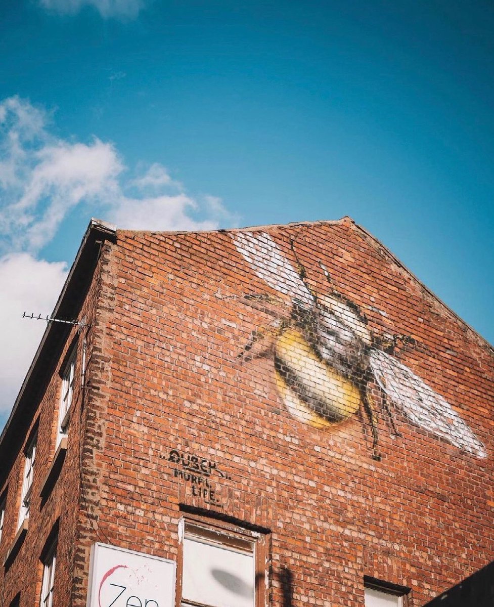 It’s great to see more and more of you worker bees returning to the city. If you’d like support on your move back into the office, call our helpline this week on 08007830321 🐝 📸 @manc_wanderer