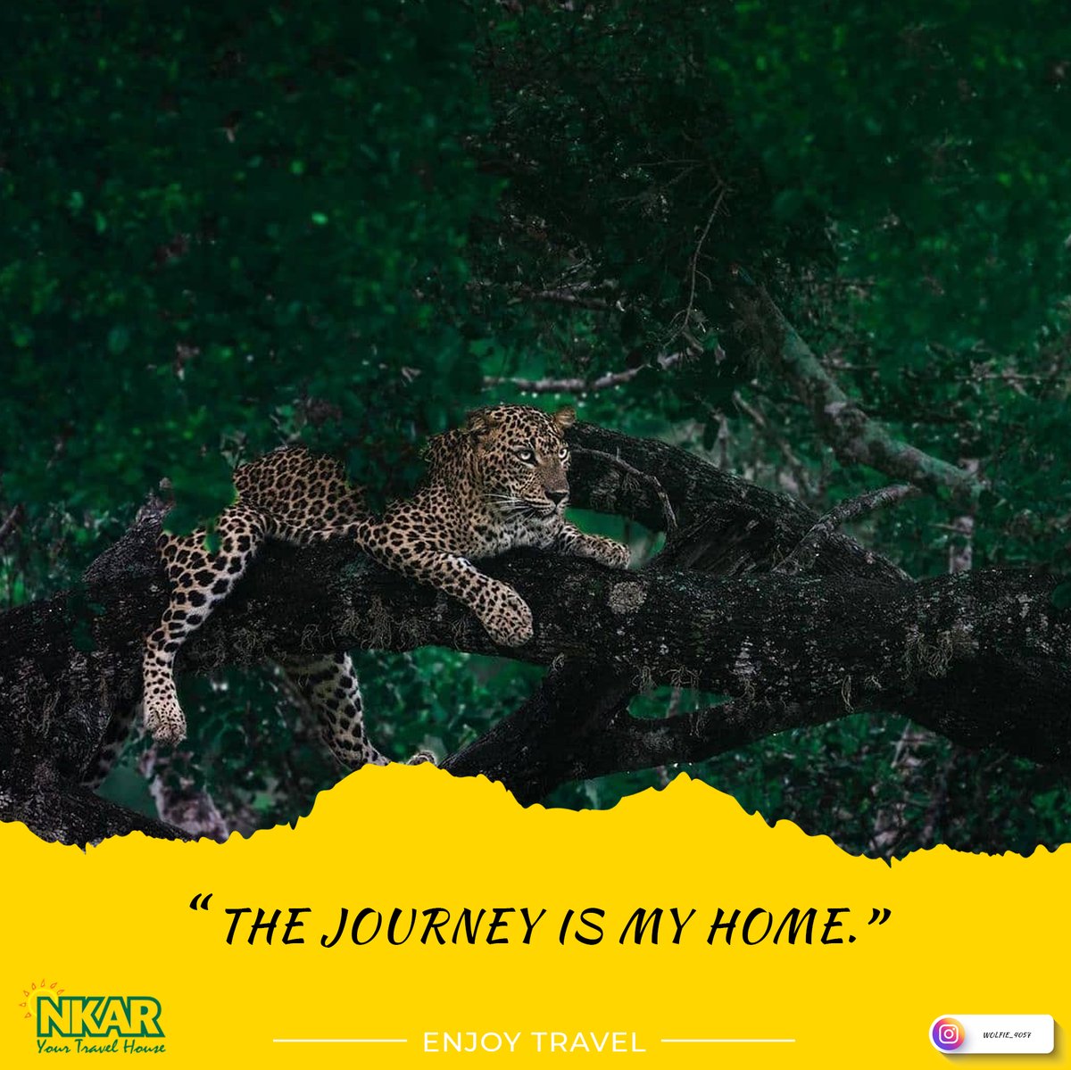 NkarTravelHouse's tweet photo. The journey Is my Home 
#SriLanka #Tourism #nkartravelhouse https://t.co/iBBmCOhioh