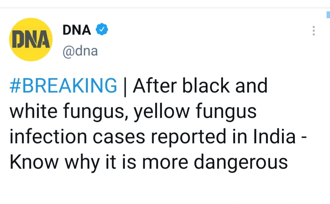oldschoolmonk's tweet photo. Yaar kahin se confirm ho jaye ke duniya ek do saal mein khatam hone waali hai to kaam chhod ke thoda relax kar len https://t.co/cckEVWNoPU