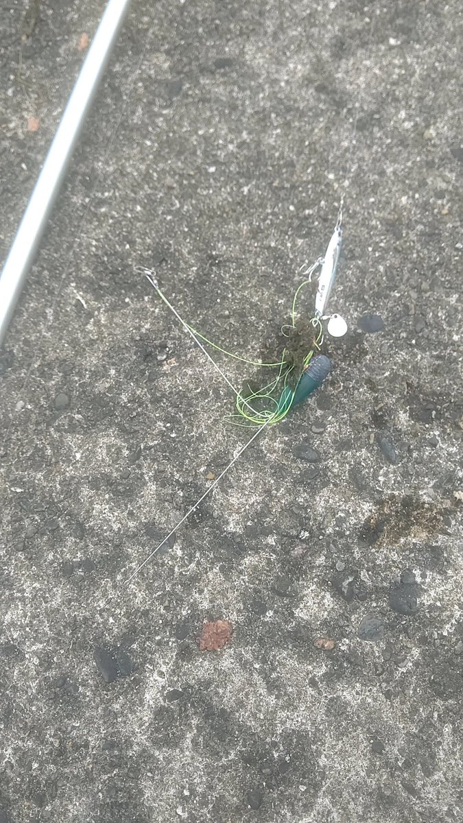 トクターk せっかくなので黒井第一突堤 魚影があったので メタルジグを投げてみるも釣れず 天秤が釣れた あと 濡れた靴下が渇いた フグとか泳いでるのは見れるし サーフより楽しいが 釣り終了