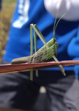 @H_tamakoshi 私も貰ったことがあります！ 